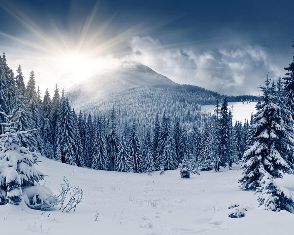 images-gallery-elements-image-4